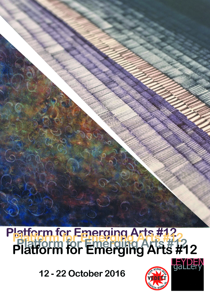 Platform for Emerging Arts #12 - Material Matters